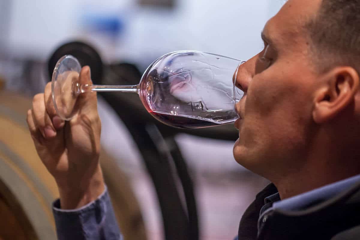 Gamay-2016 Slow wine - Grosjean Vini Biologici in Valle d'Aosta