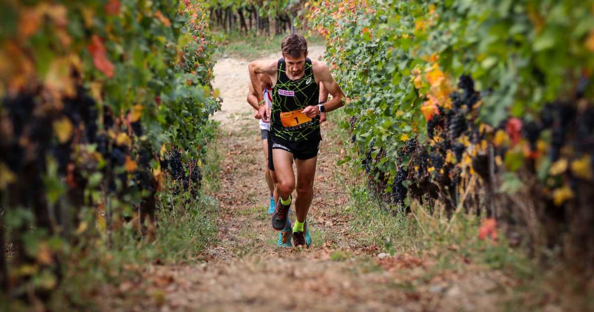 grosjean wine trail_xavier chevrier_corsa_montagna