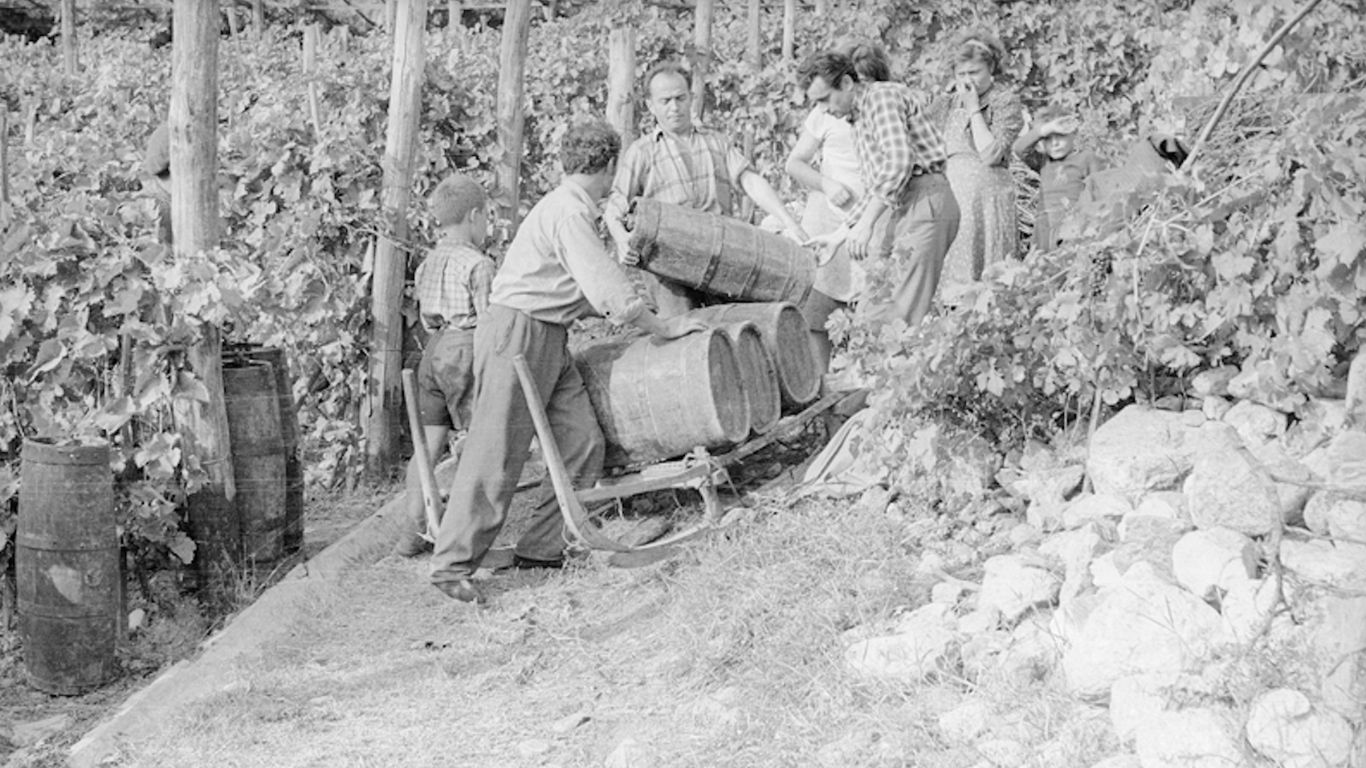 Archivio BREL - Fondo Bérard_vino_valle d aosta_900
