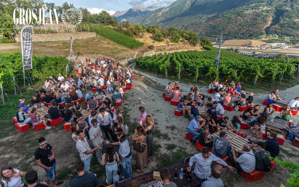 DegustaVigna Aperitivi estivi in Vigne in Valle d'Aosta filari Rovettaz